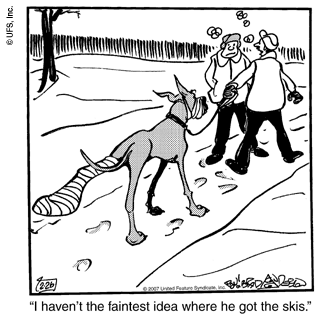 marmaduke